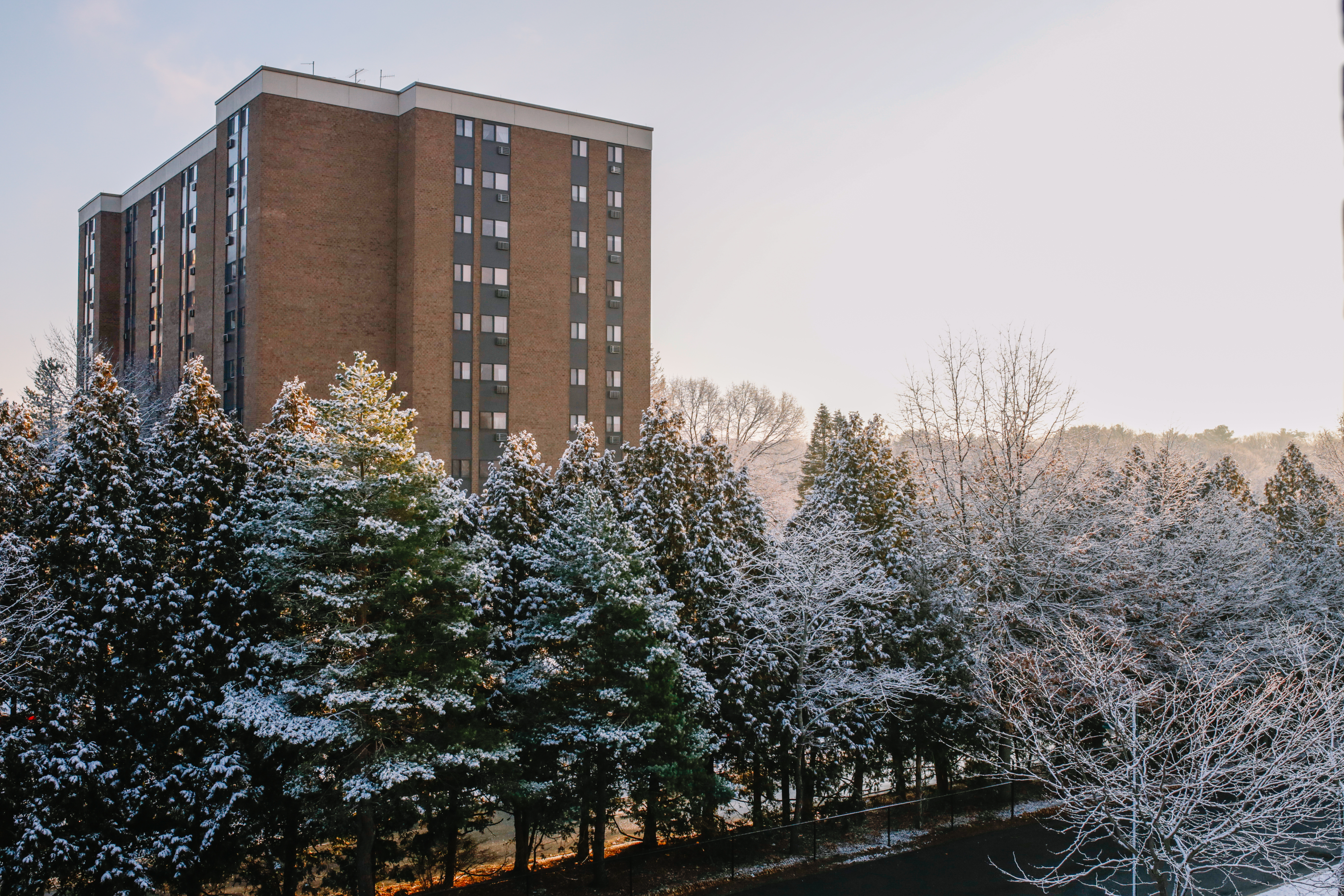 Winter Prep Tips for Commercial Properties