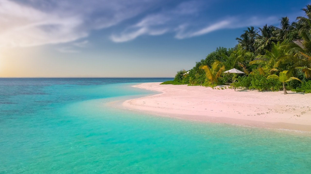 how-to-manage-business-finances-while-taking-summer-vacations