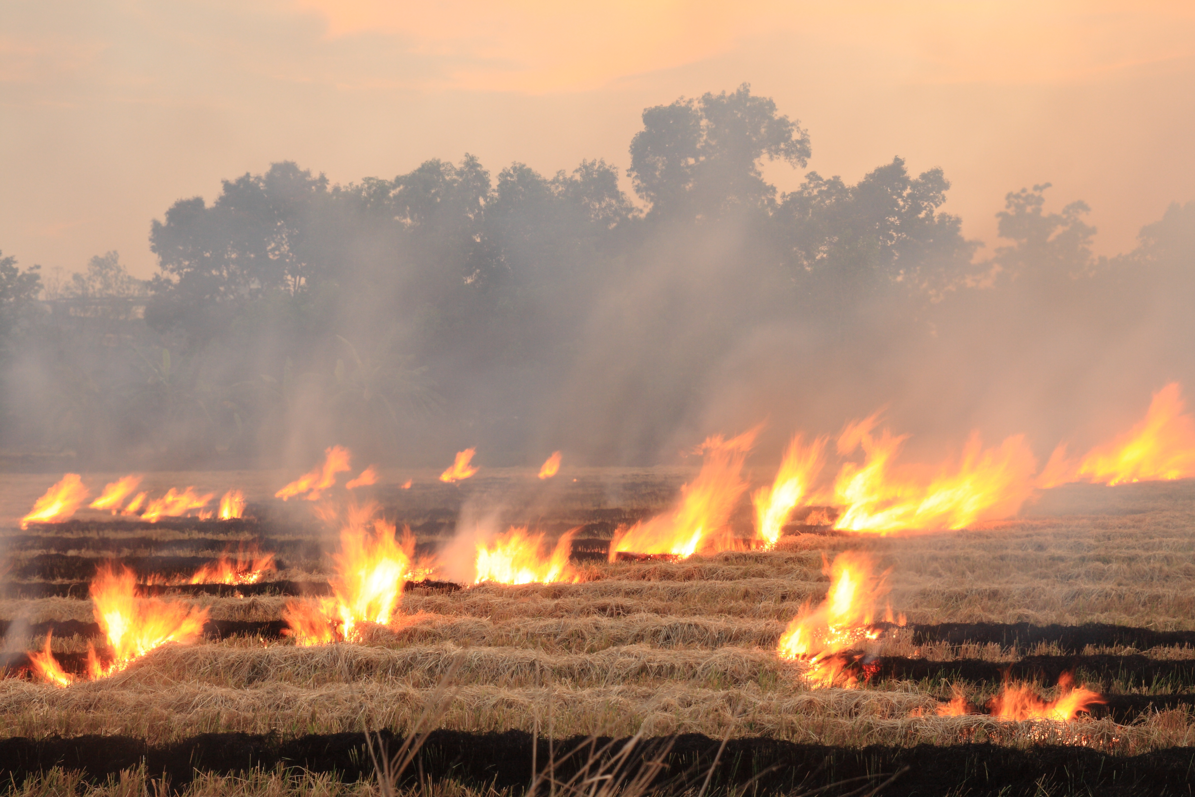 Fire Prevention Tips for Farmers During October