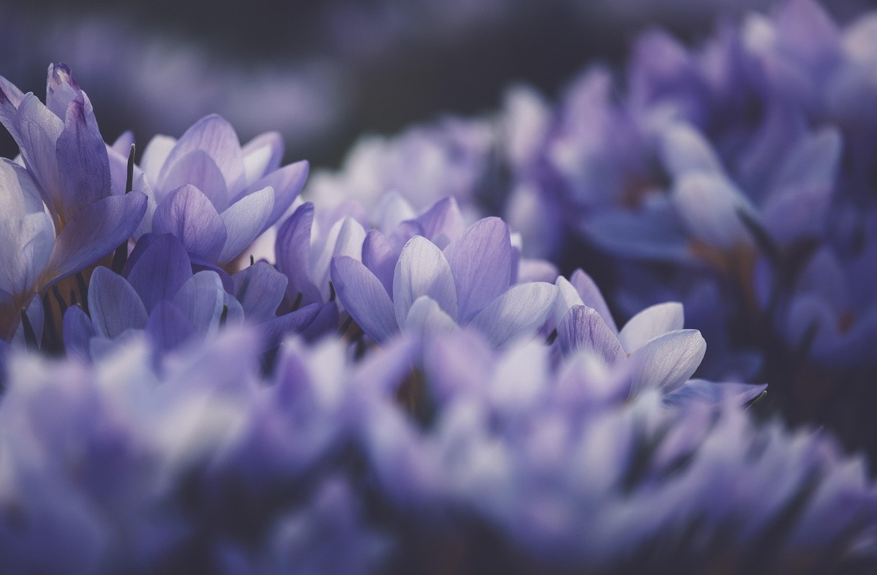 How Trauma Informed Care Supports Healing After Sexual Violence
