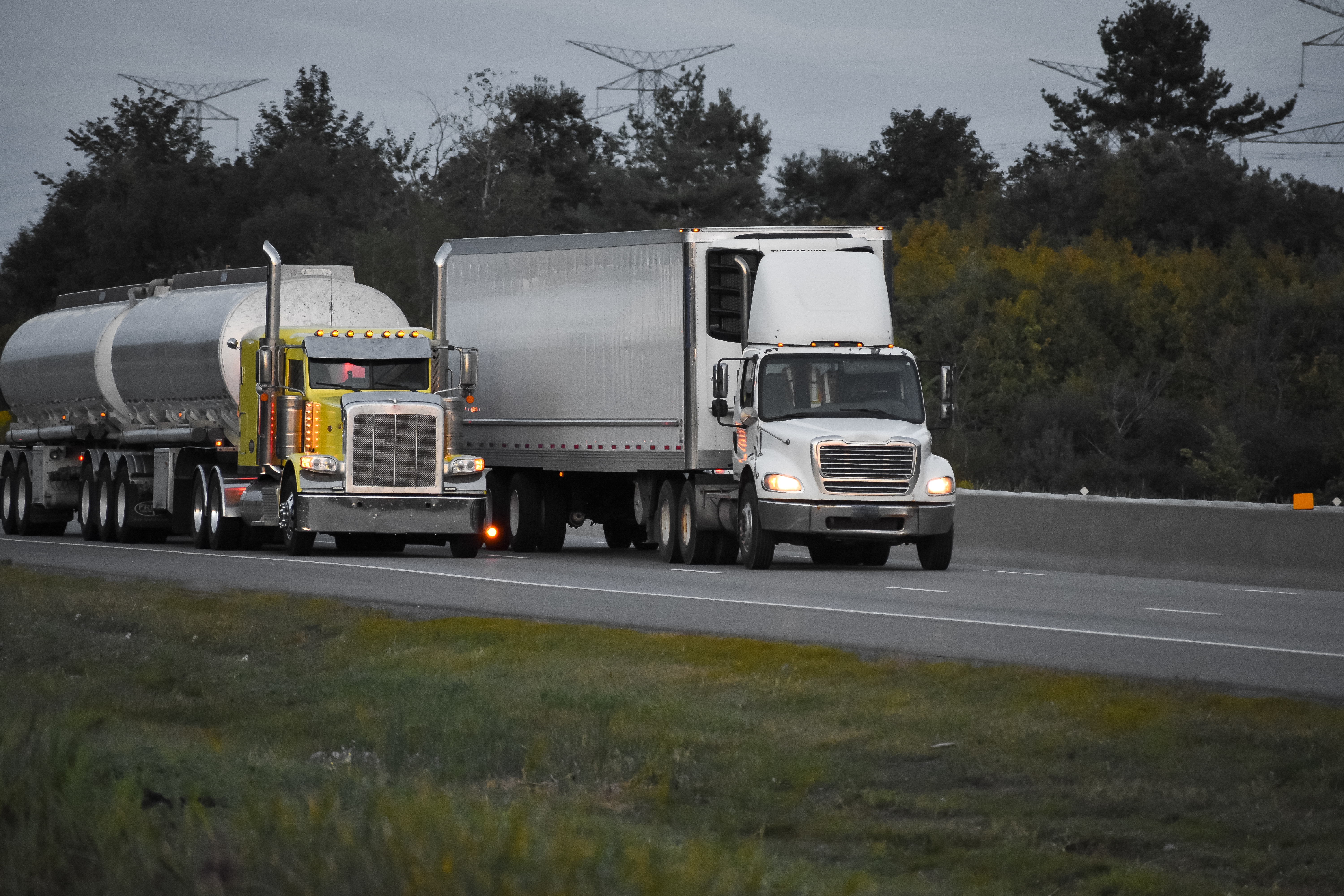 Deer Collision Safety Tips for Commercial Drivers