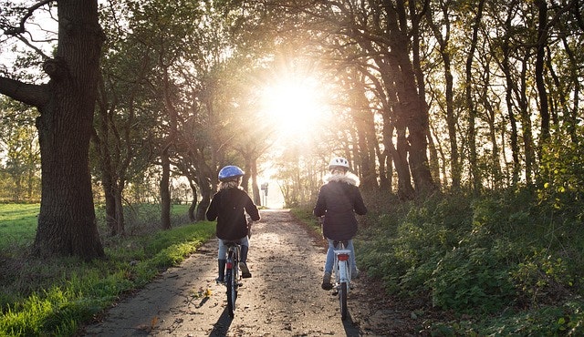 Bicycle Safety Month And Sharing The Road Safely