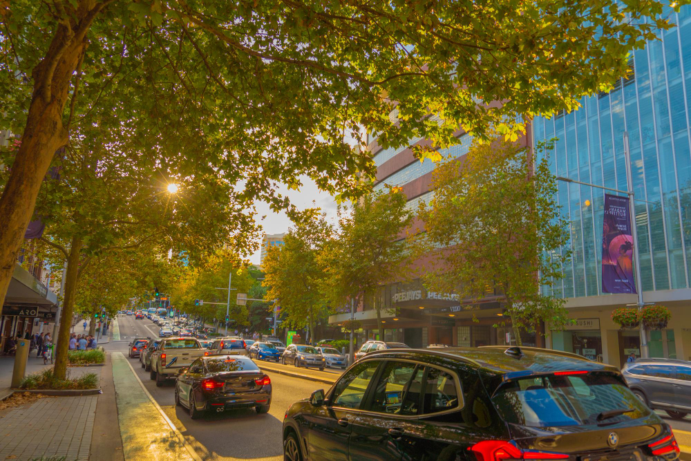 Busy city street with cars and trees lining the sidewalk