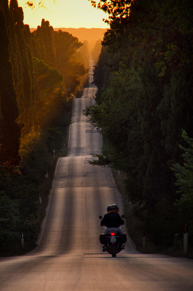 Motorcyclist riding on a scenic road lined with trees at sunset