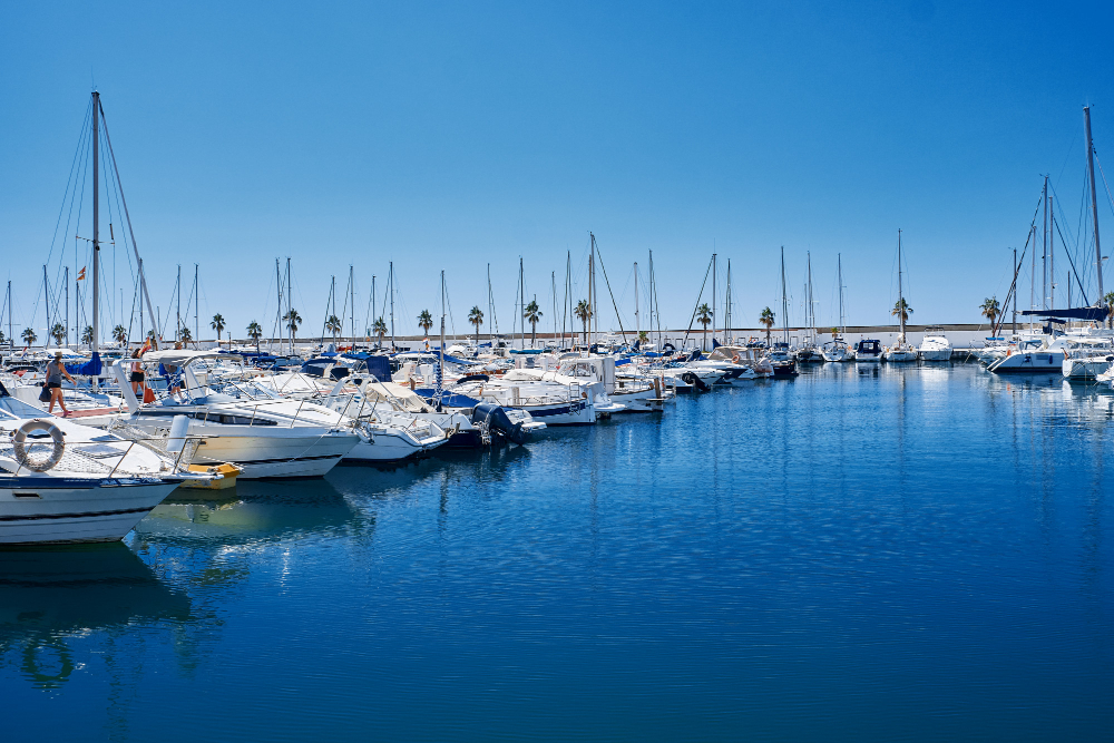 Marina with numerous sailboats docked on a sunny day