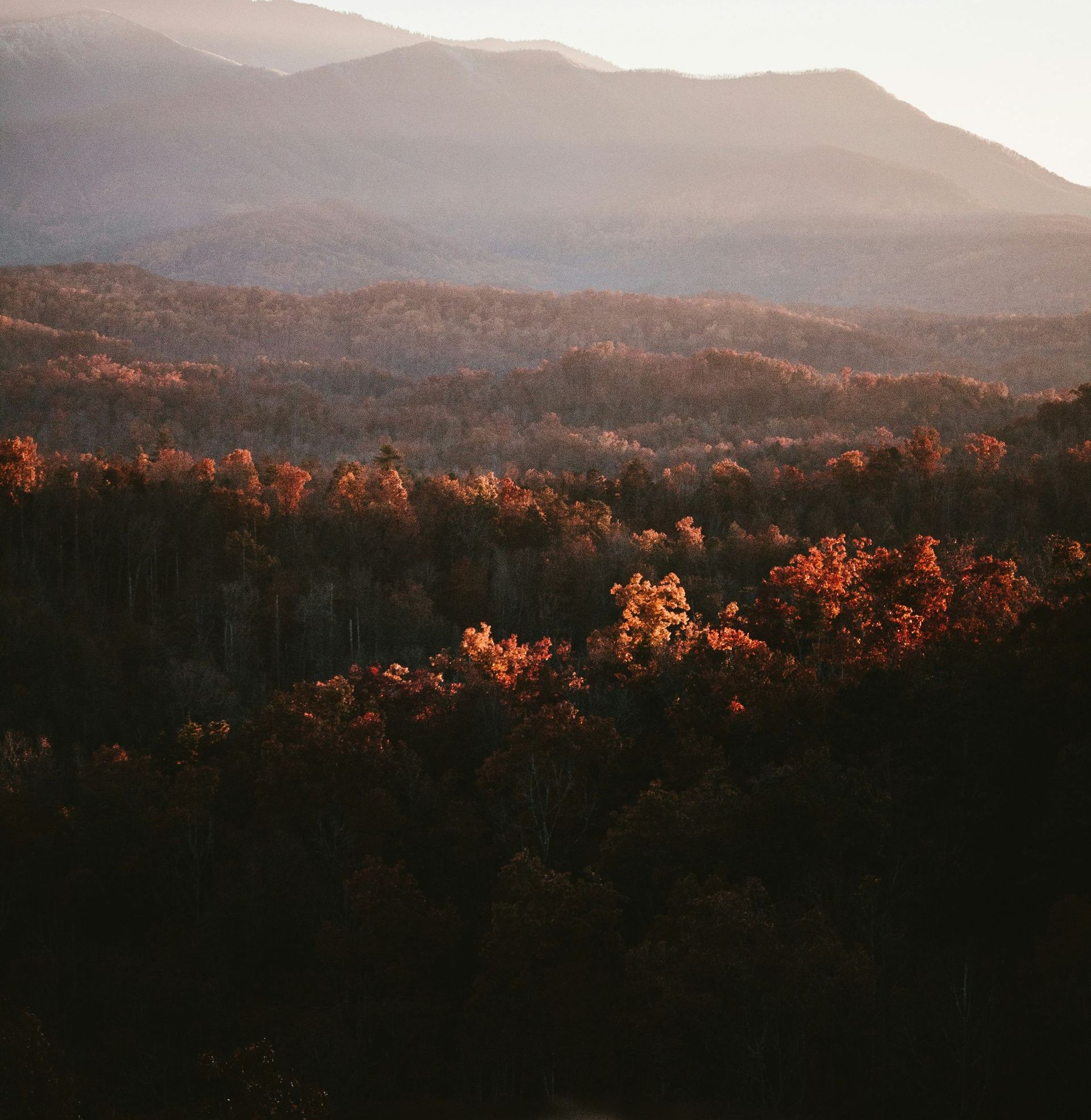 Three Years of Law Up in a Holler