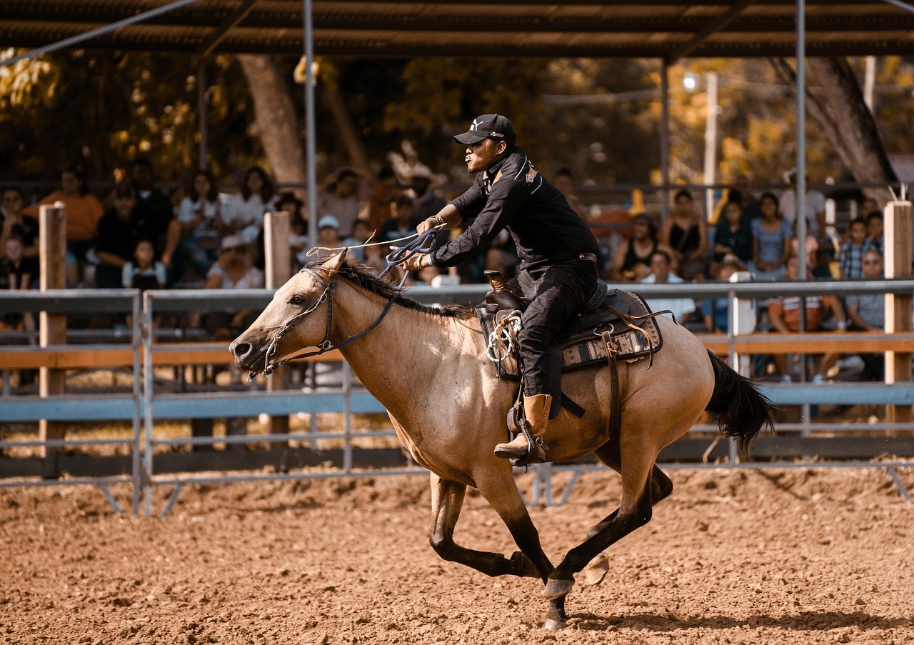 Serving Those Who Served Us: How Veterans Find Strength Through Equine Therapy