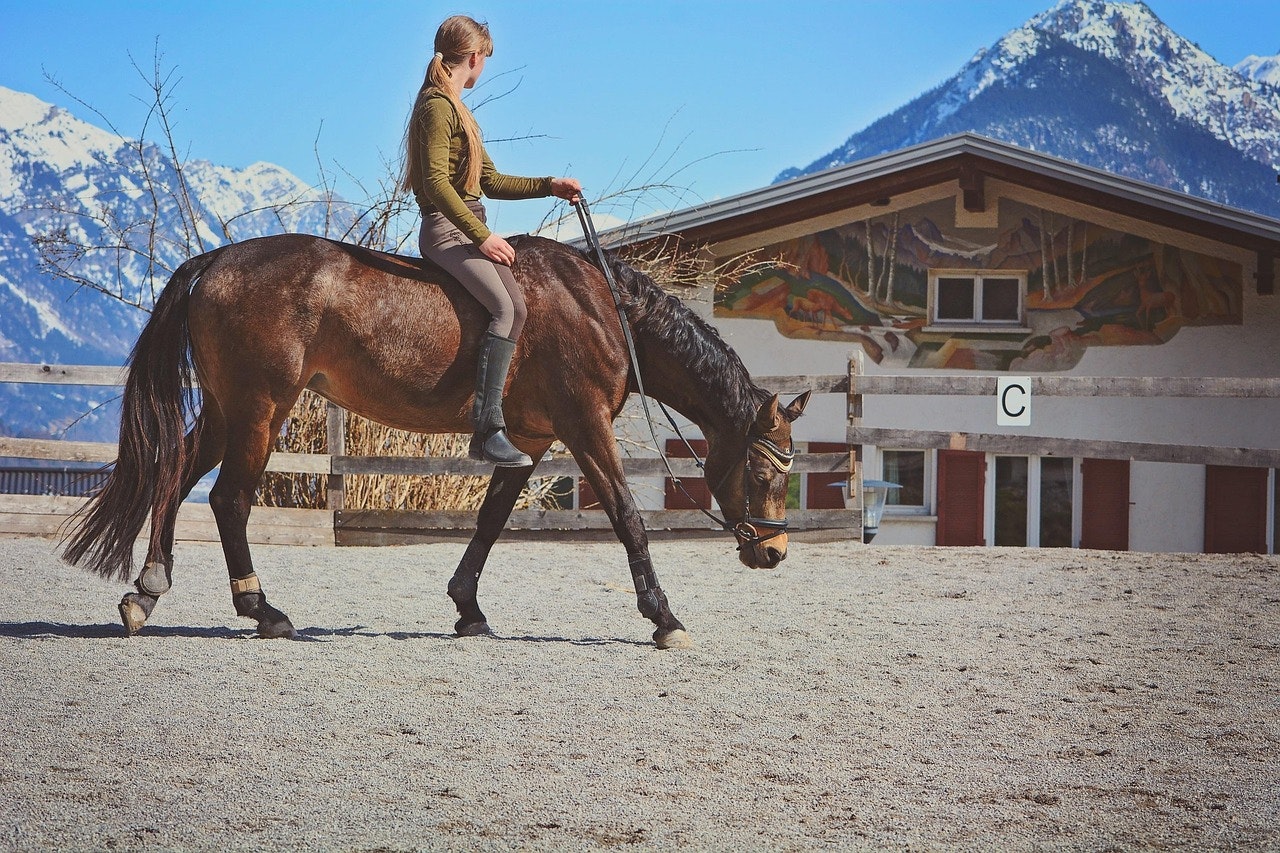 Why Hippotherapy Works: The Science Behind Movement and Healing