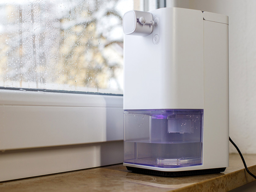 4 Reasons to Dehumidify Your Home (+ Ways to Do It)