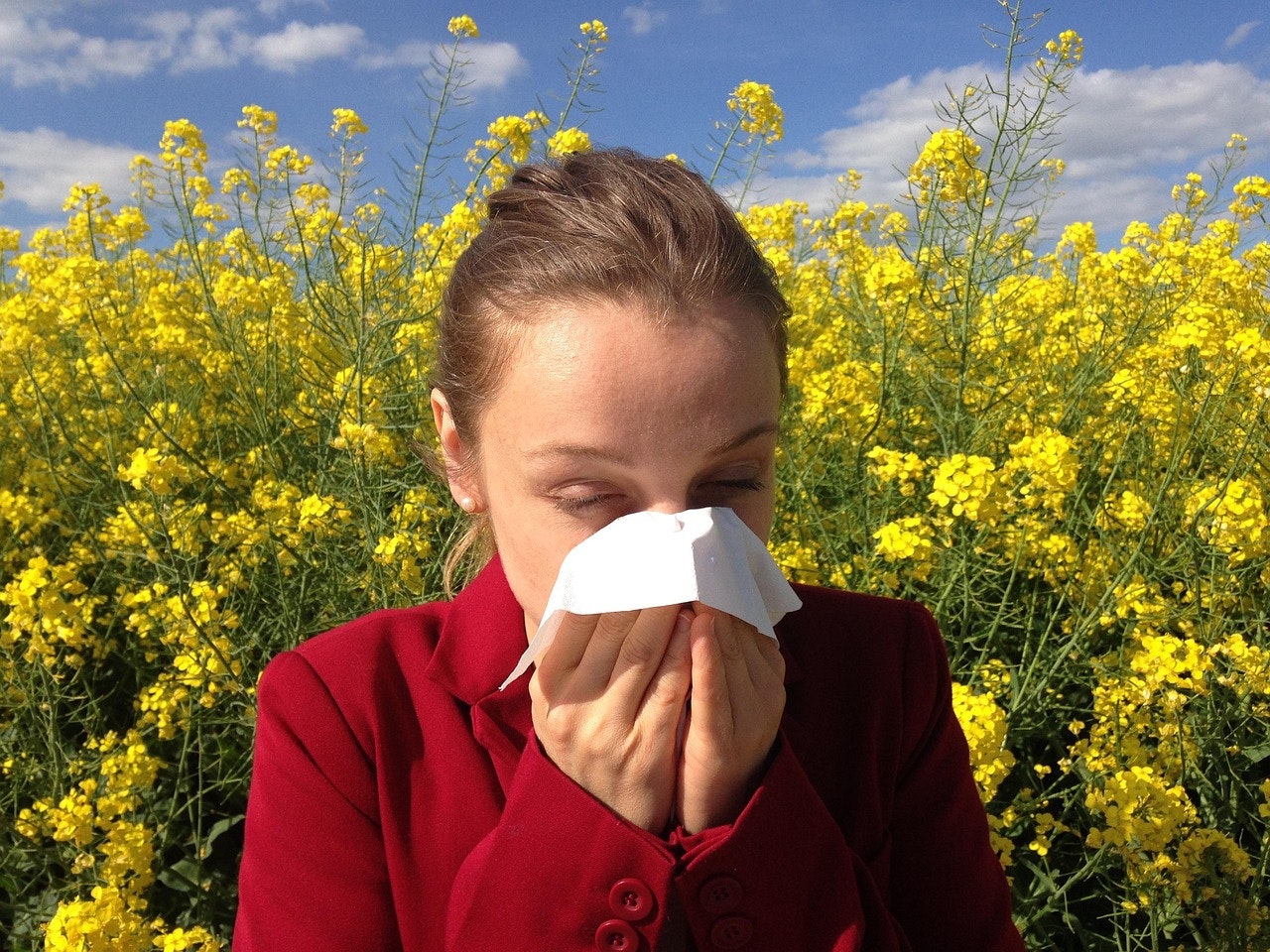 How to Fight Allergies & Pollen Season in Louisiana: Air Purifiers and HVAC Maintenance Tips
