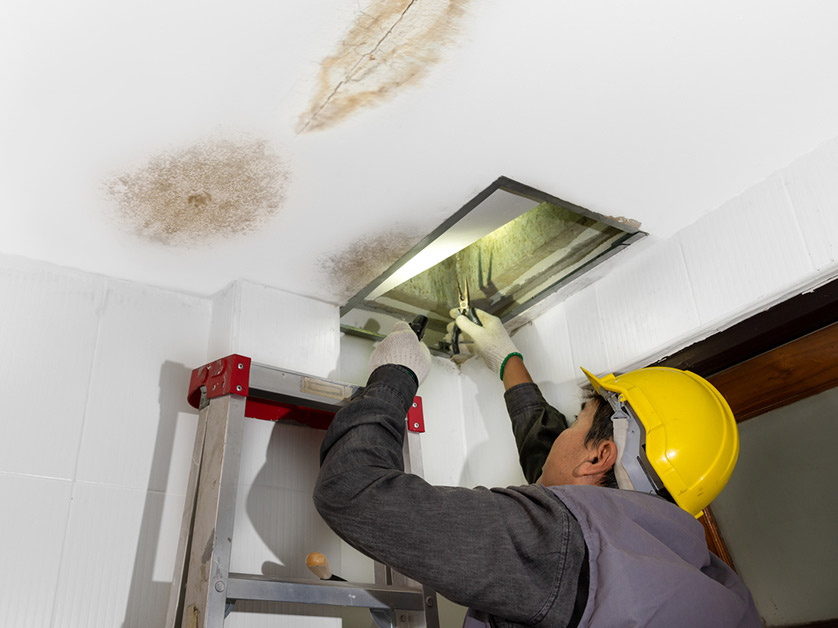 What are some mold remediation tips that can assist a homeowner when turning on their HVAC system after mold treatment?