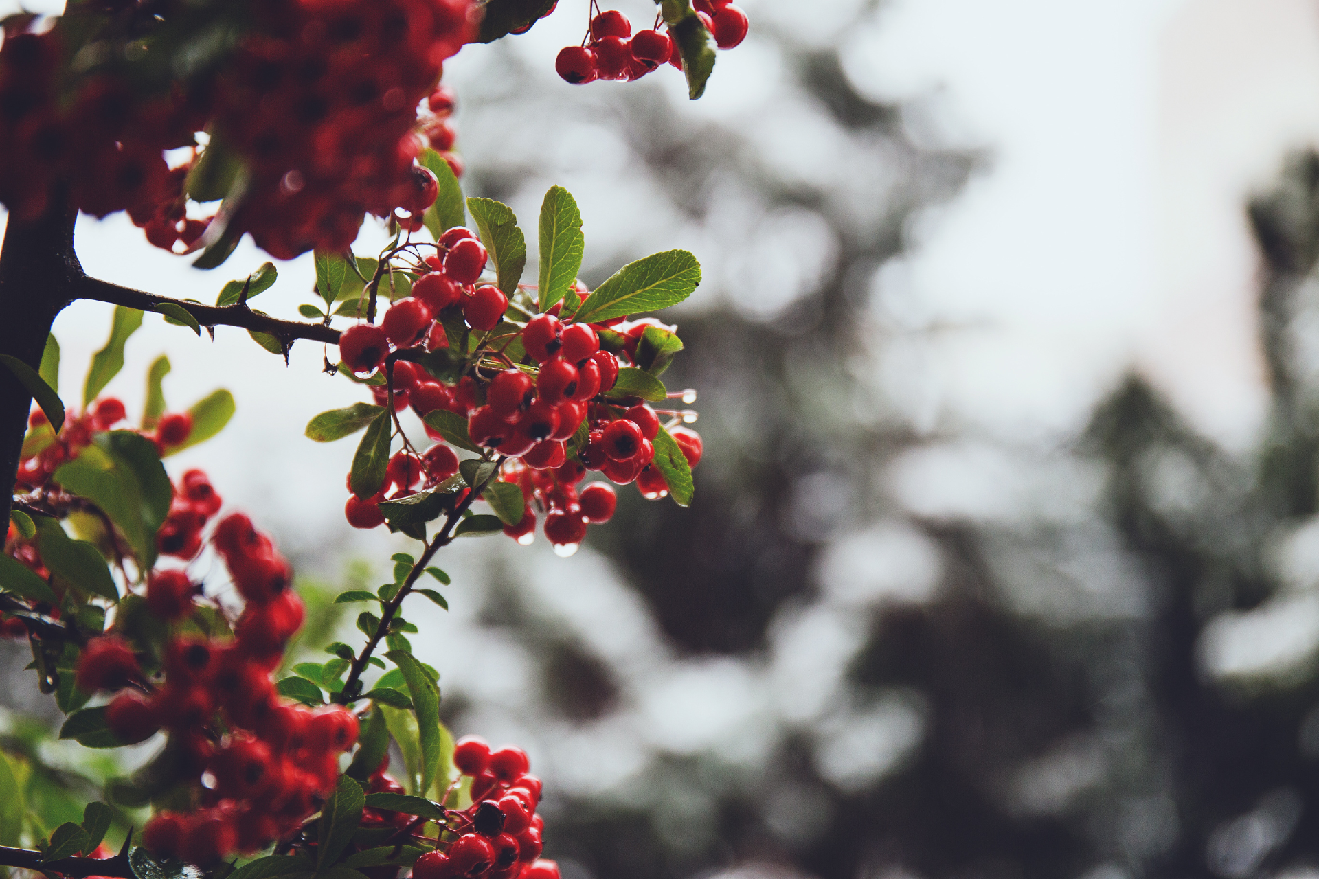 December Market Update: A Strong Month for Long-Term Investors