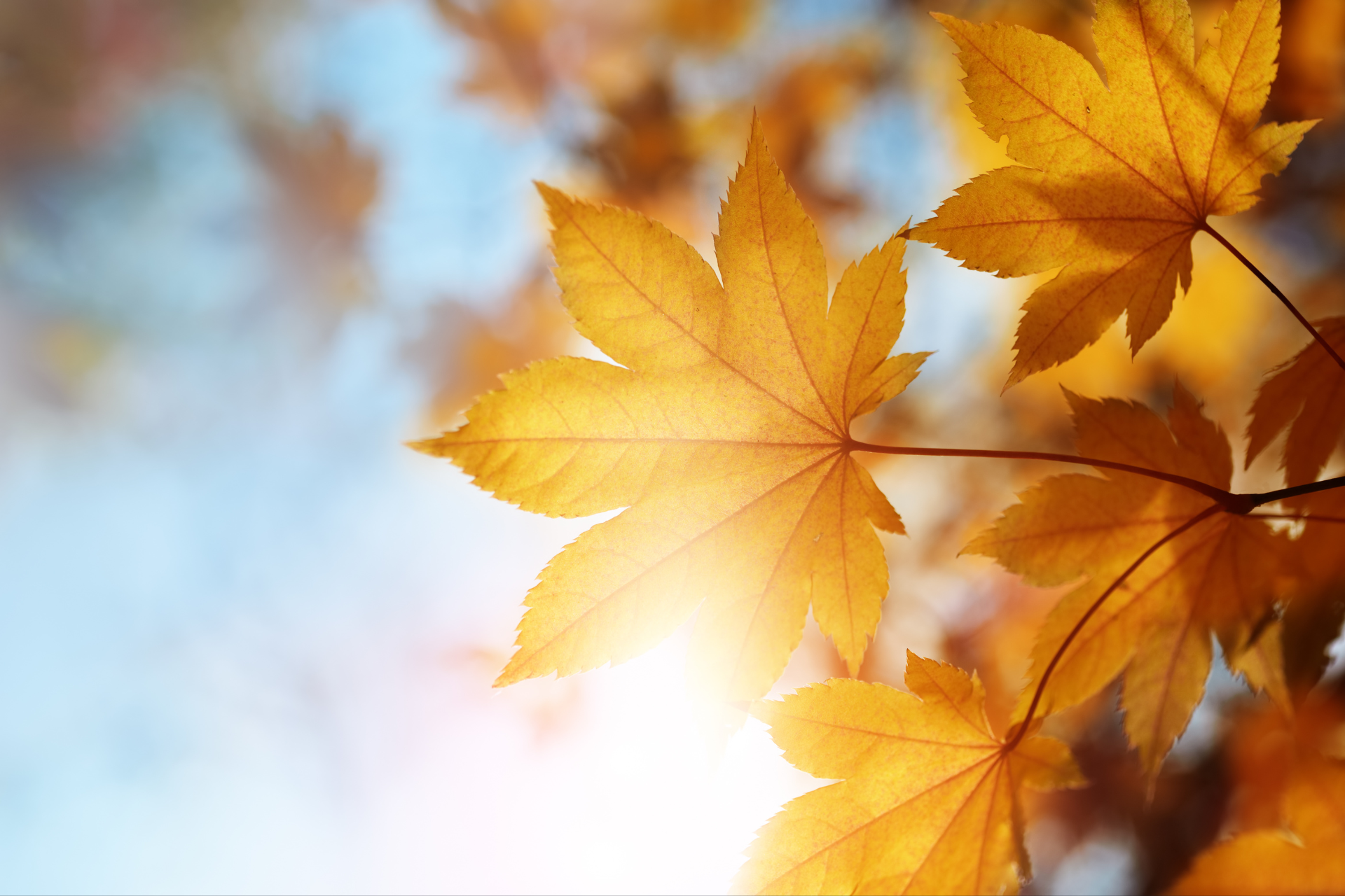 September Market Update: August Market Insights: Key Developments and What They Mean for Investors