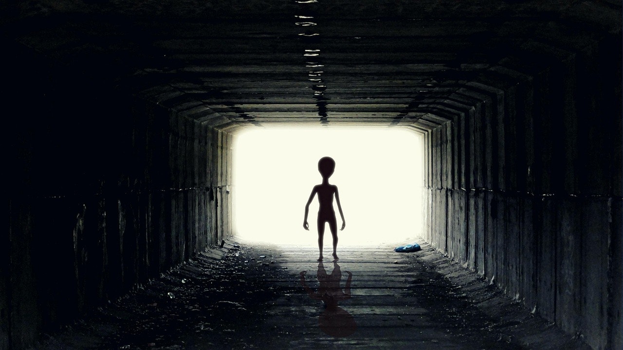 Suppressed Wages from AI or Aliens?