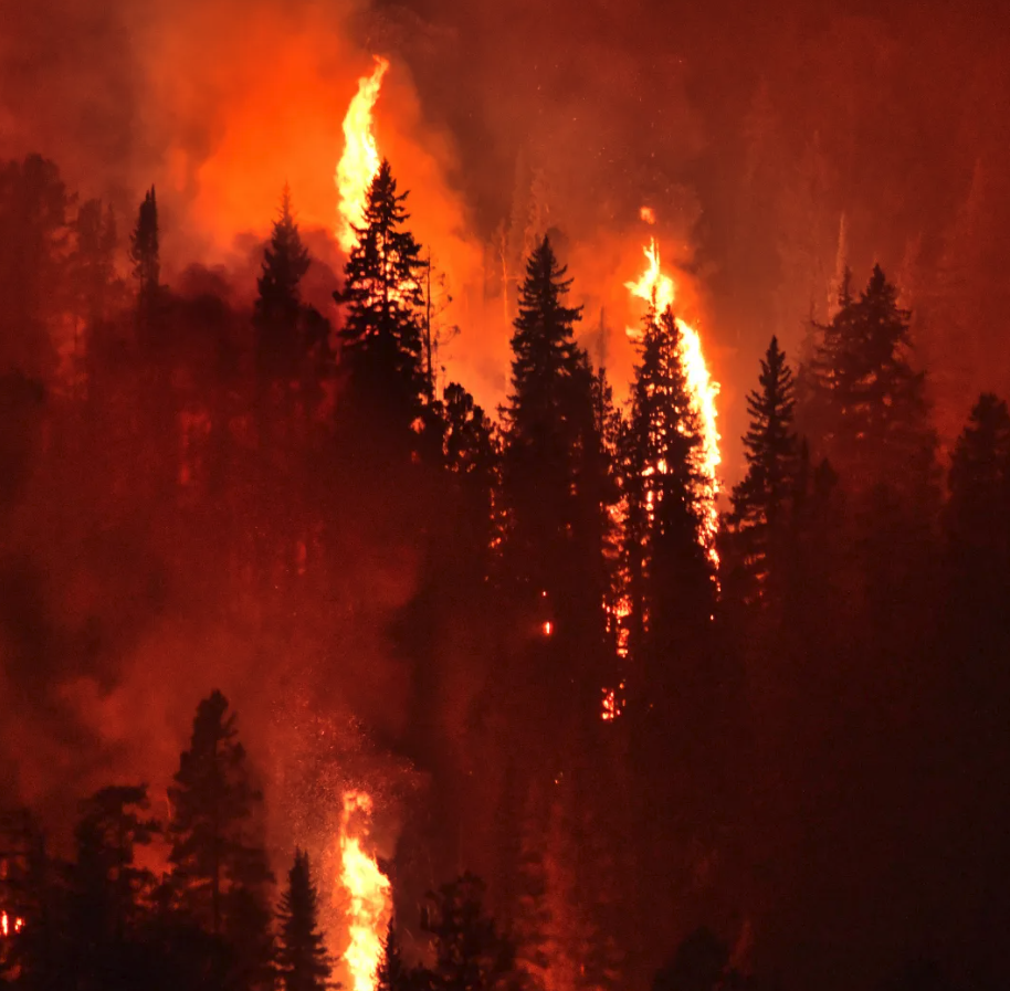 HNW Insurance Market Notes - December 2024