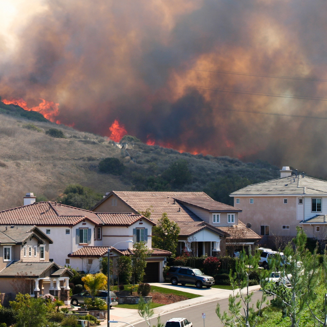 HNW Insurance Market Notes - February 2025