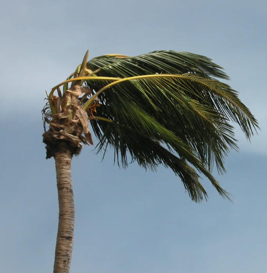 HNW Insurance Market Notes - October 2024