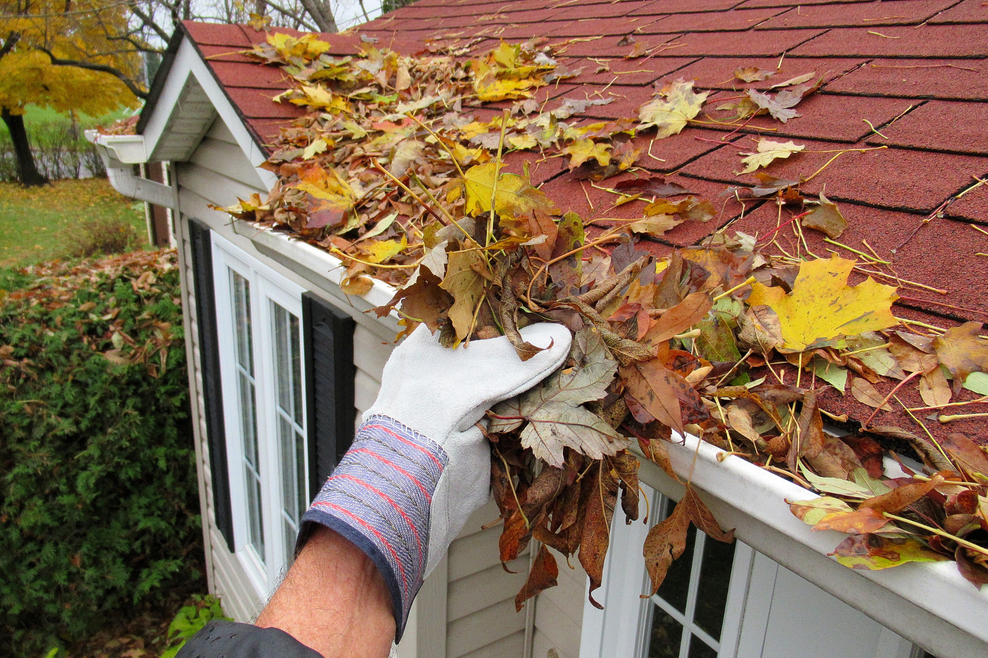 8 Essential Steps to Prepare Your Commercial Property for Fall: Roof Upkeep and More