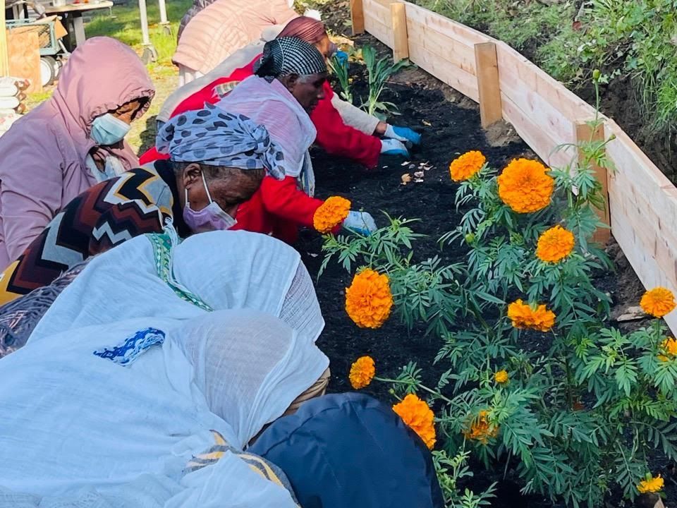 First Quarter Updates from the SNG Team!