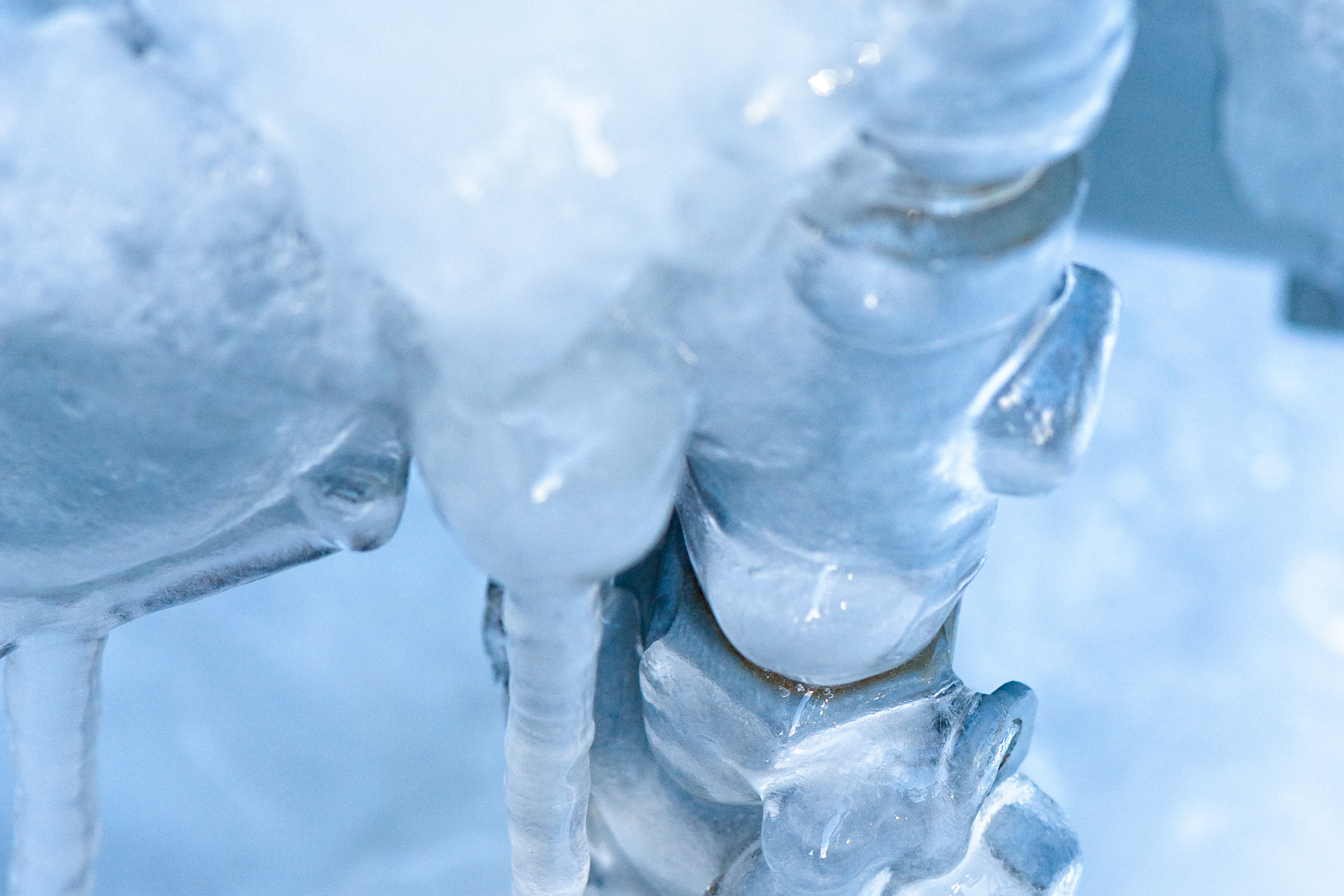 How to Prevent Your Pipes from Freezing This Winter