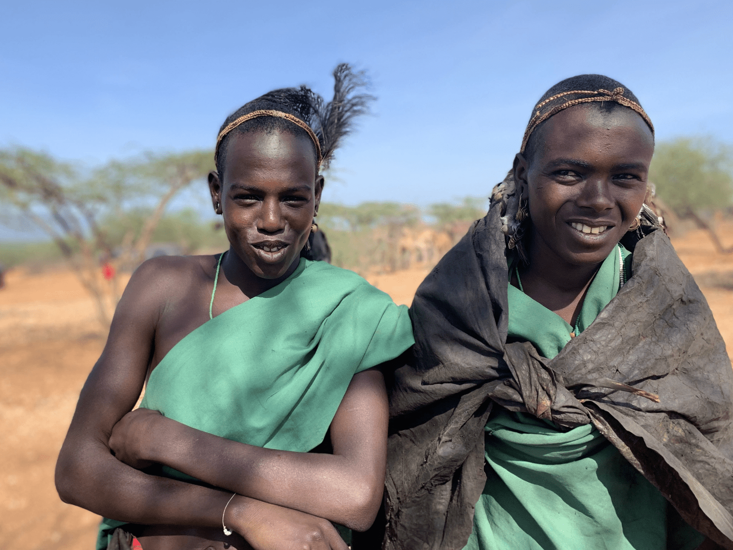 A Blog Post by Matthew Cole: Blood on the Leaves 