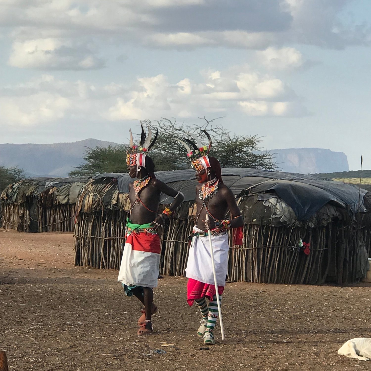 A Blog Post by Matthew Cole: How to Become a Man, Samburu 101 