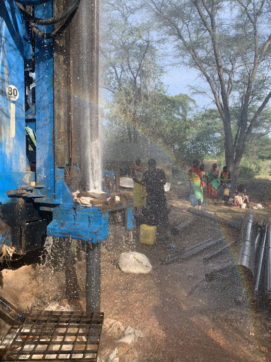 A Blog Post by Matthew Cole: Plague