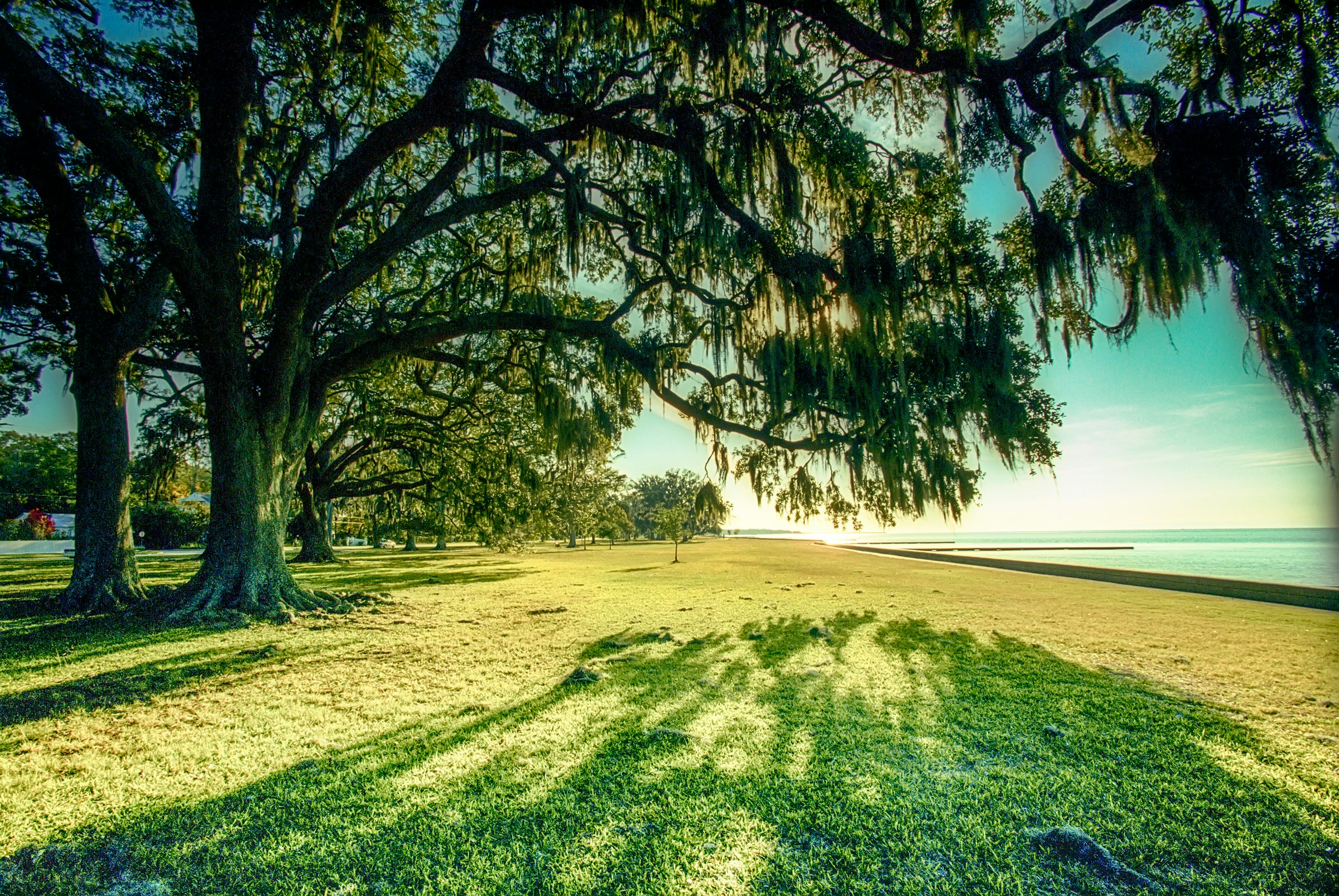 Quick Summary: In Louisiana, many people need a will, while some families benefit from a trust—and some need both. A will gives clear instructions for property that passes through a Louisiana...