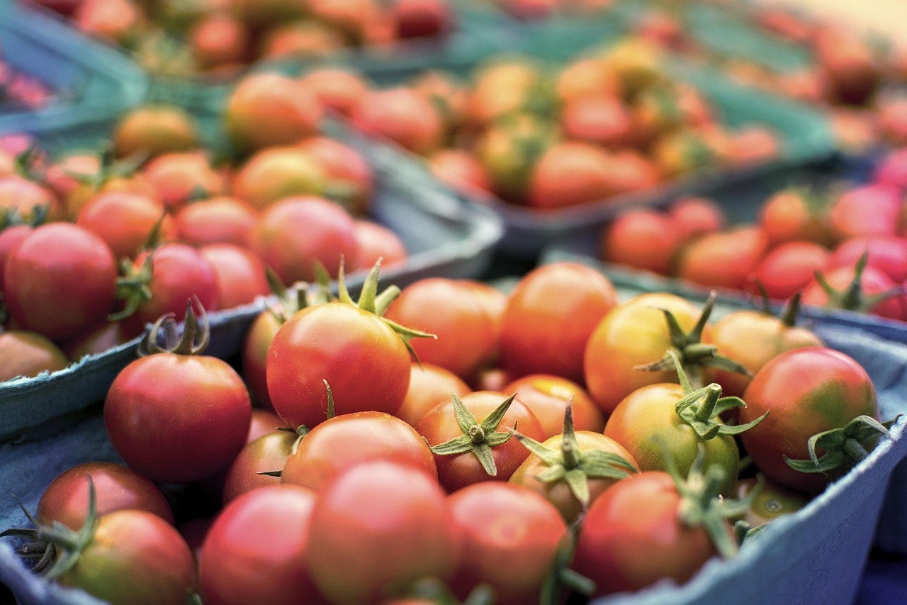 The Vital Role of Food Rescue in Strengthening Food Security