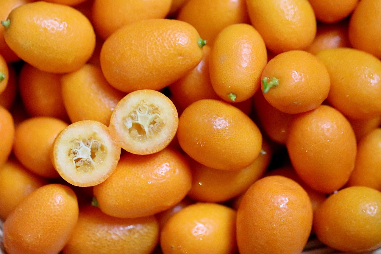 September Is Hunger Action Month: How the LindaBen Foundation Helps Fight Hunger