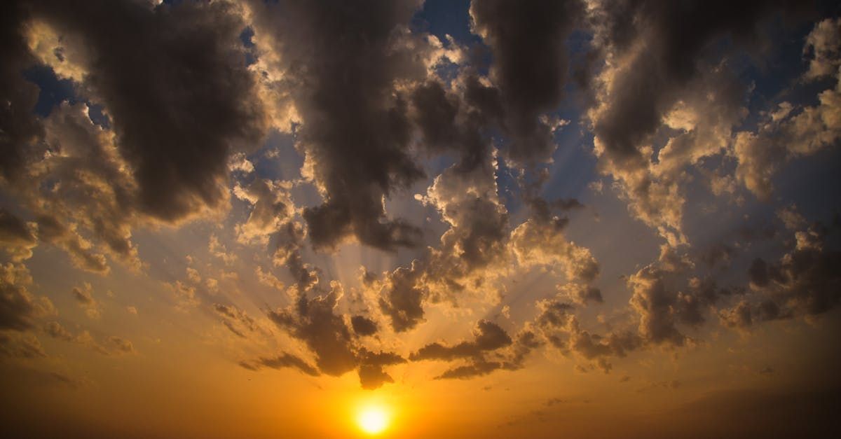 Navigating Flood Season and Spring Storms: Essential Tips for Liberty County Residents