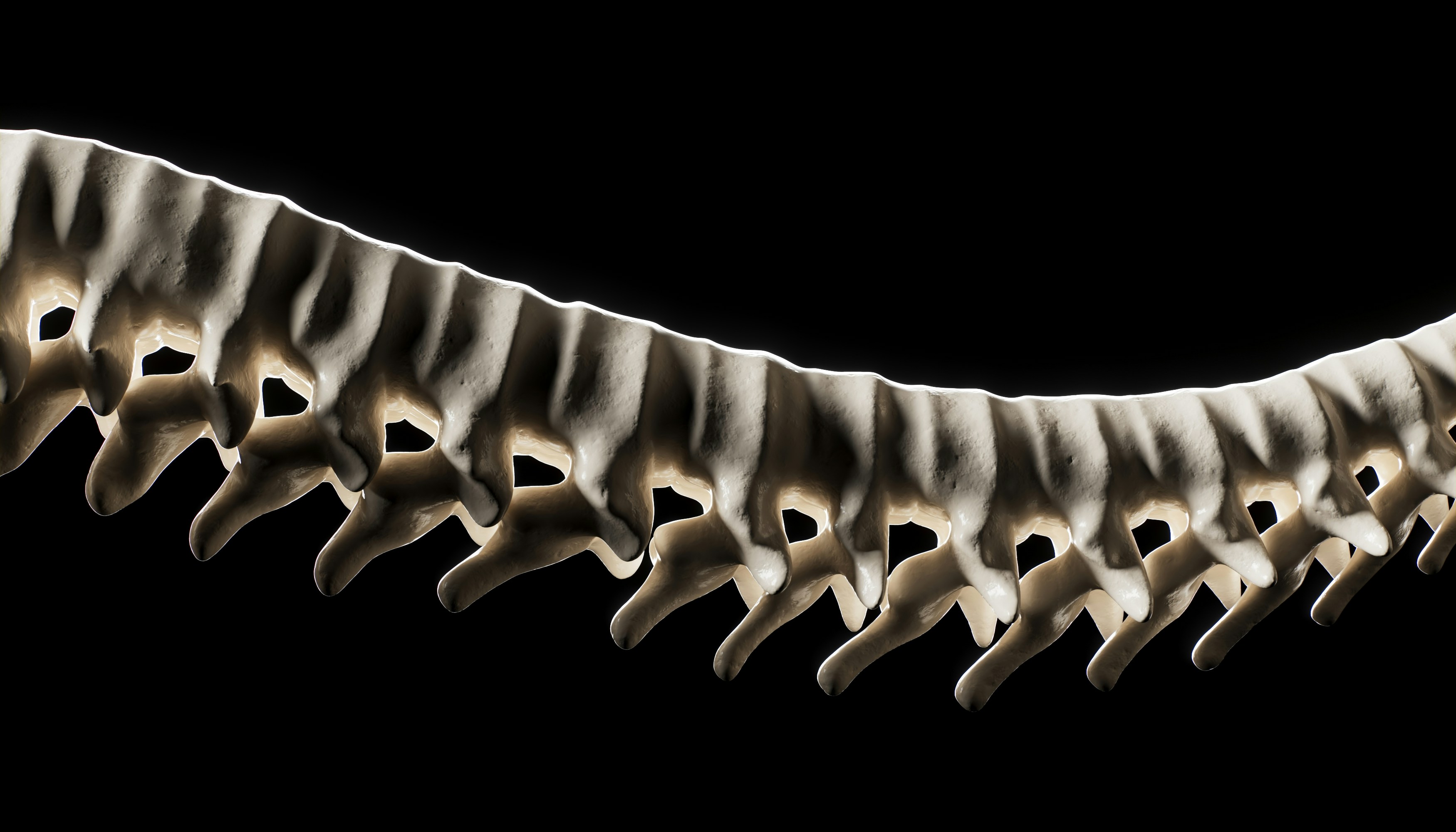 The lifetime costs of a spinal cord injury often exceed one million dollars once you properly account for medical care, adaptive equipment, home modifications, personal care assistance, and lost...