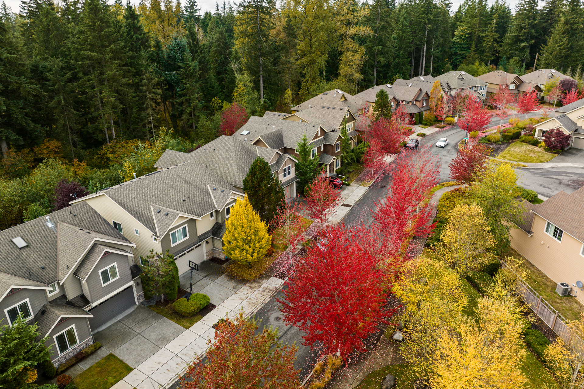 Why Your Home Insurance Rates Are Rising—and How to Respond