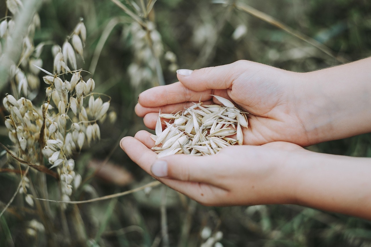 Malnutrition and the Power of Giving: How Food Donations Help


