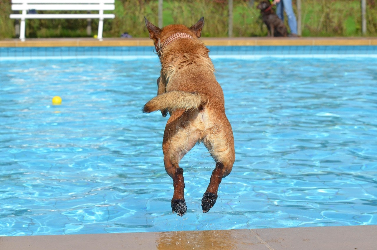 Understanding Insurance Coverage for Pools, Other Structures, and Liability
