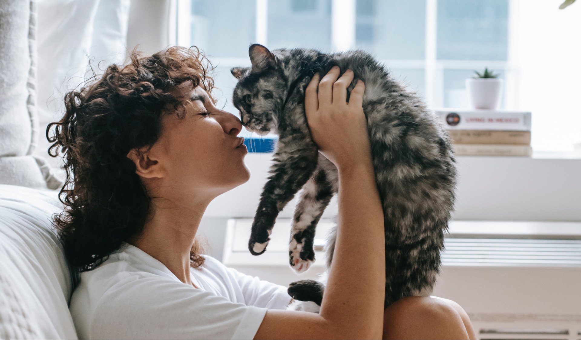 5 Tips for Finding Good Pet Insurance