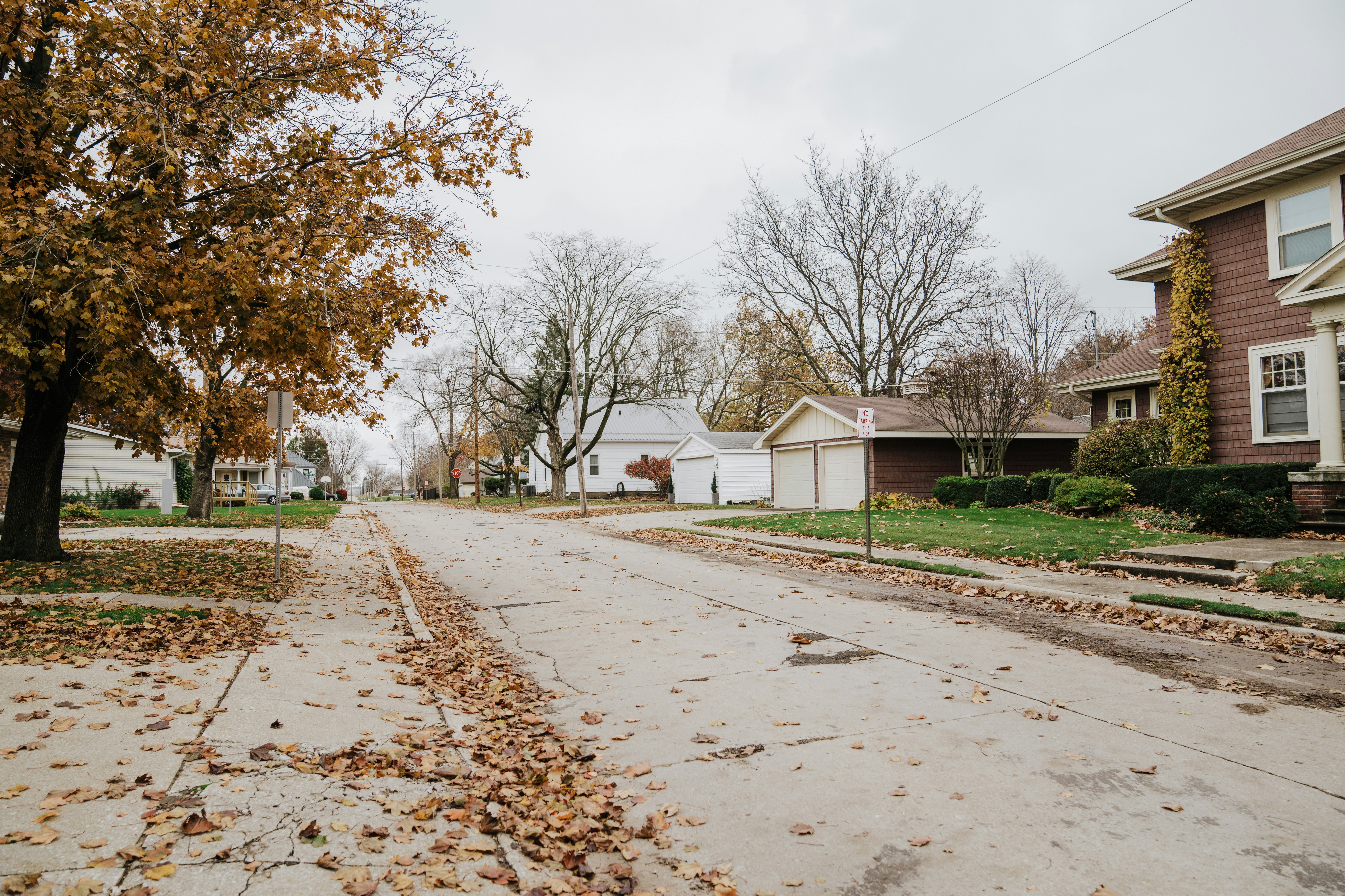Quiet residential street with autumn leaves and houses