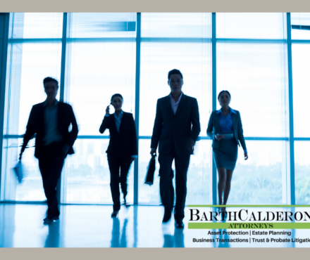 Asset Protection for Business Leaders