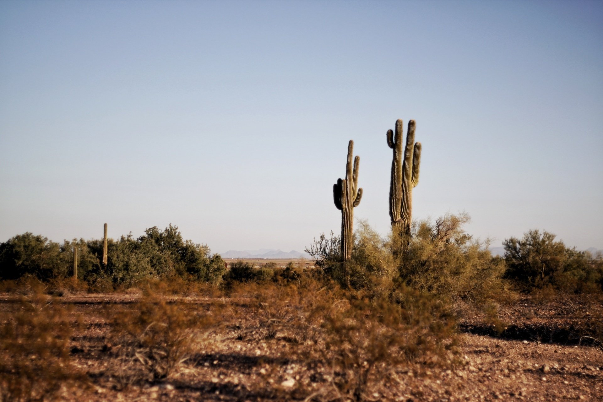 Texas Realtors: Why your listing and the right Lender Partnership is key