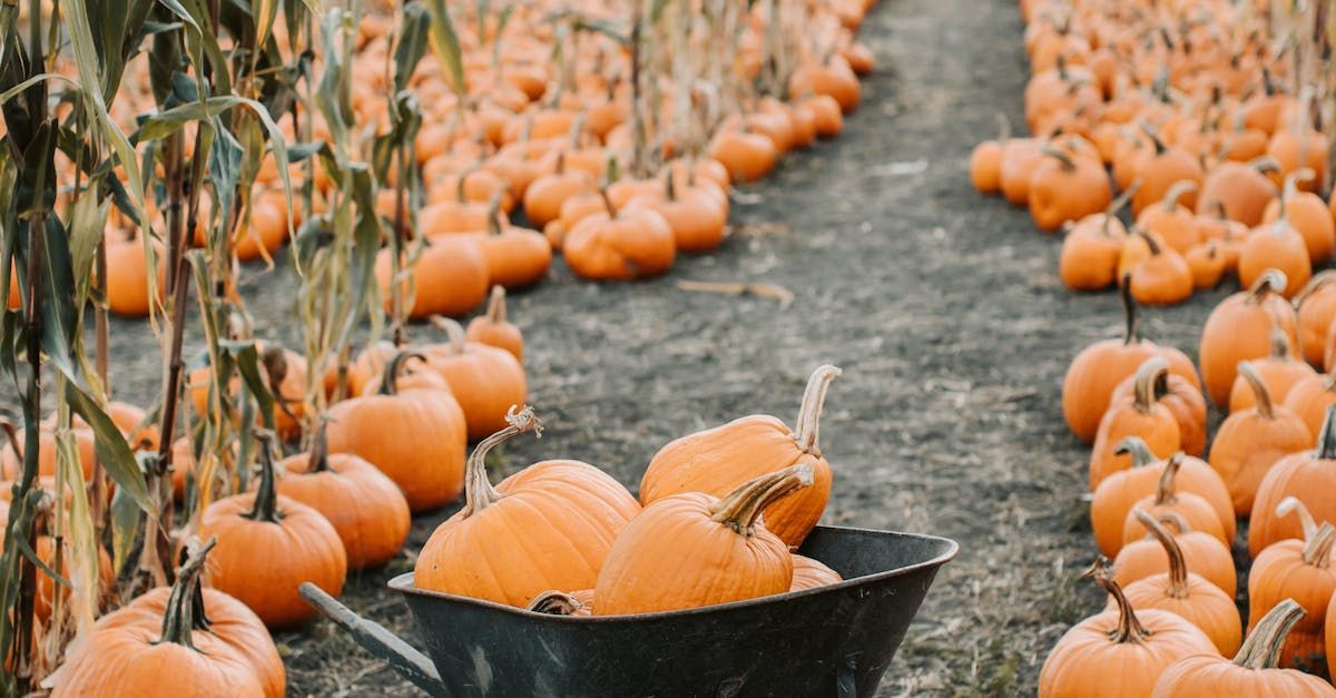 Maximizing Returns in a Volatile Market: The Power of Tax-Loss Harvesting