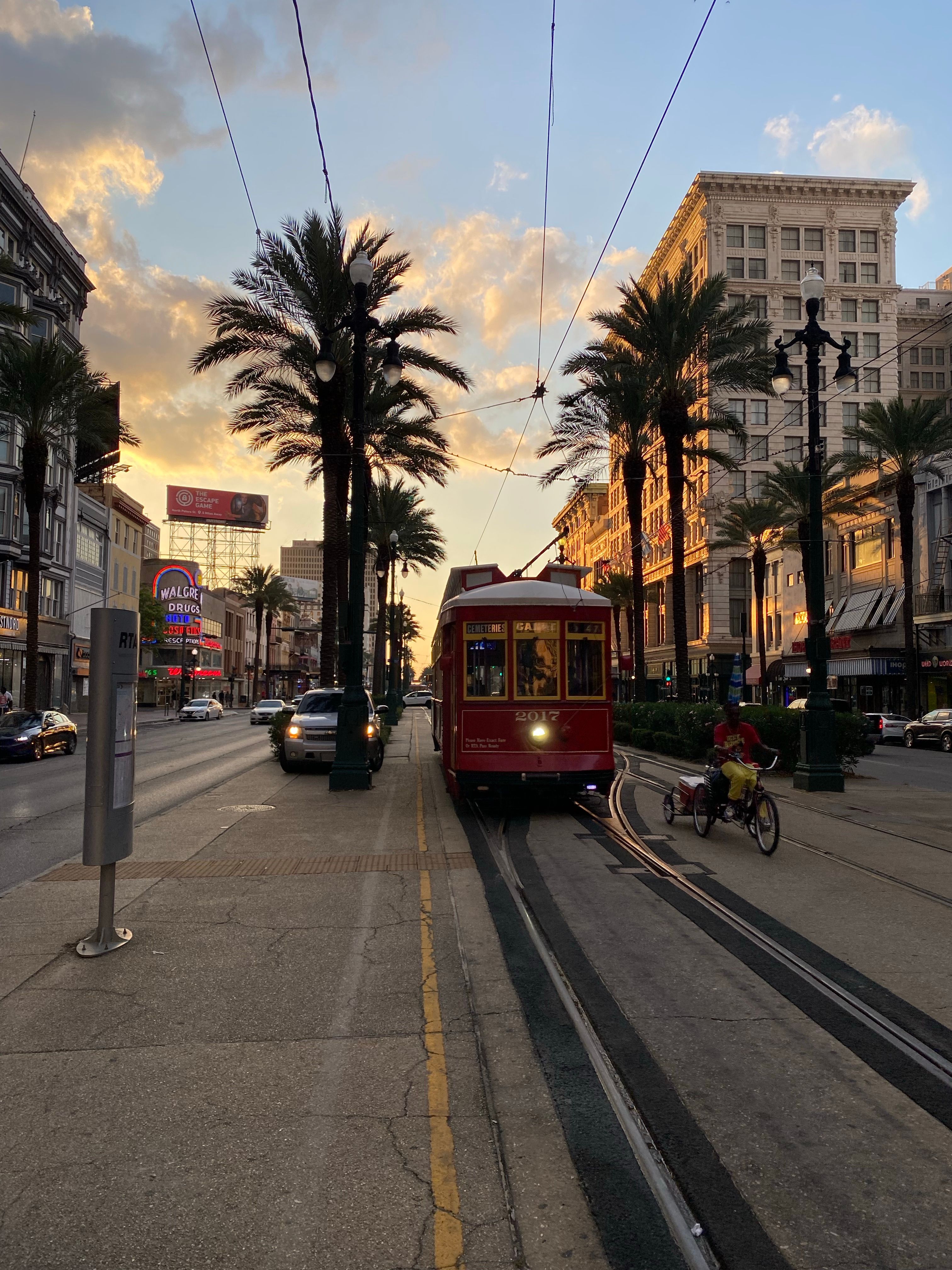 Streetcar on tracks in a city street lined with palm trees during sunset.