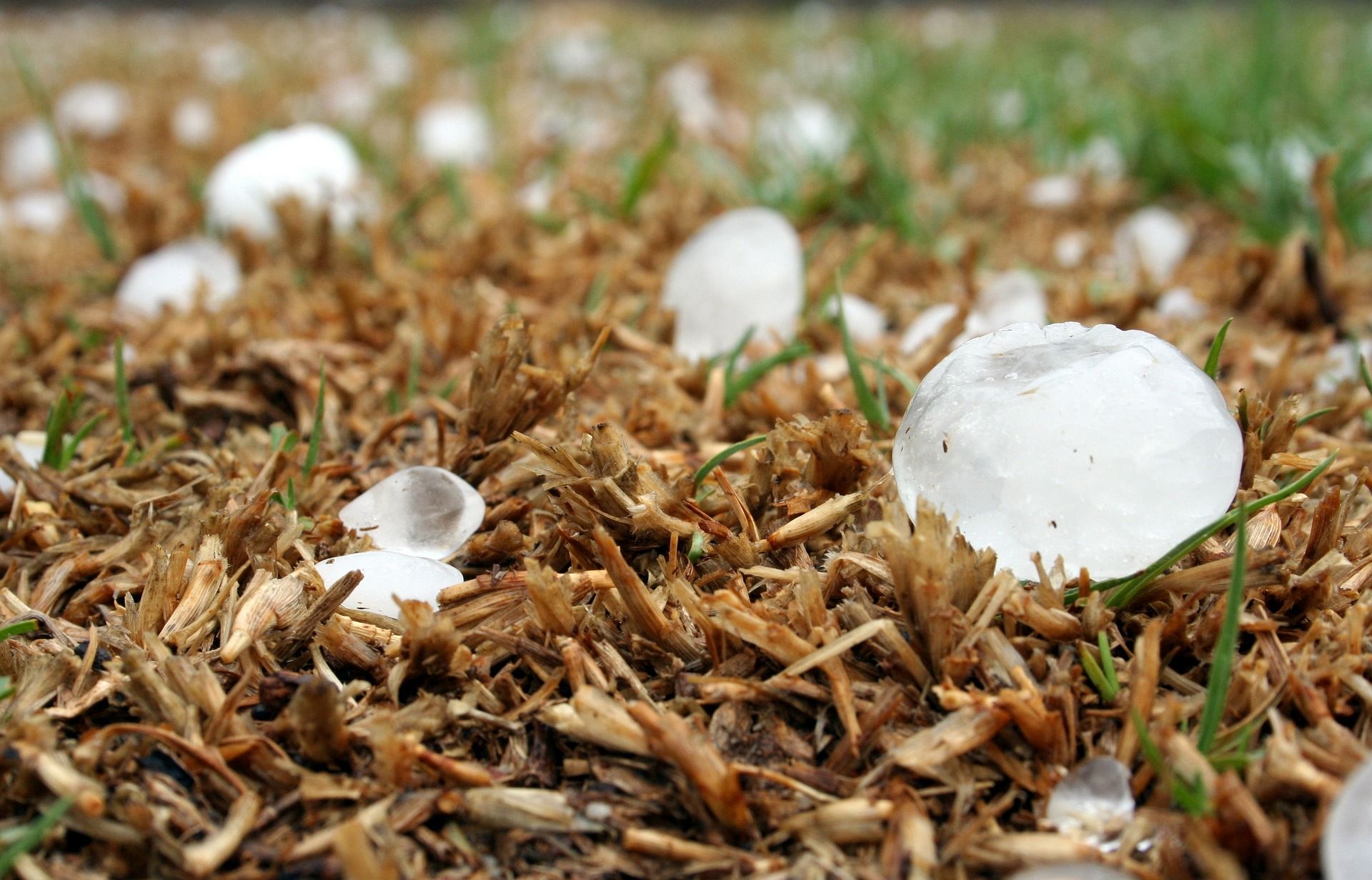Hail Damage?  Here’s what you need to know.
