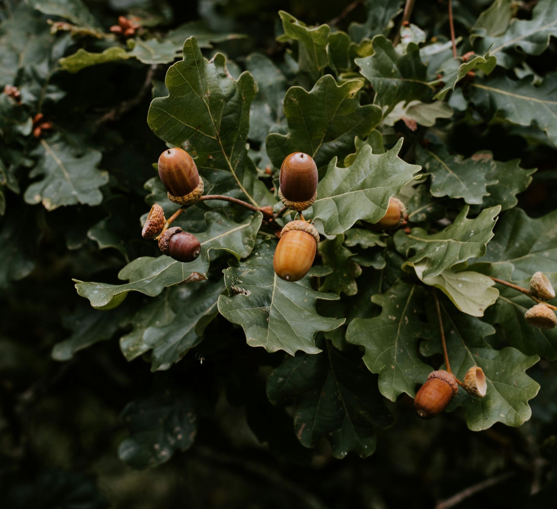 Why Long-Term Investing Works