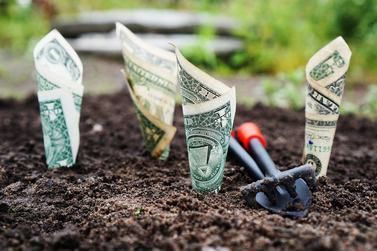 Private Placement Life Insurance: How the Ultra-Wealthy Invest Tax-Free (and Whether It's Right for You)