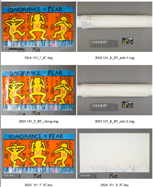 Walking the Line: Conservation in the Real World