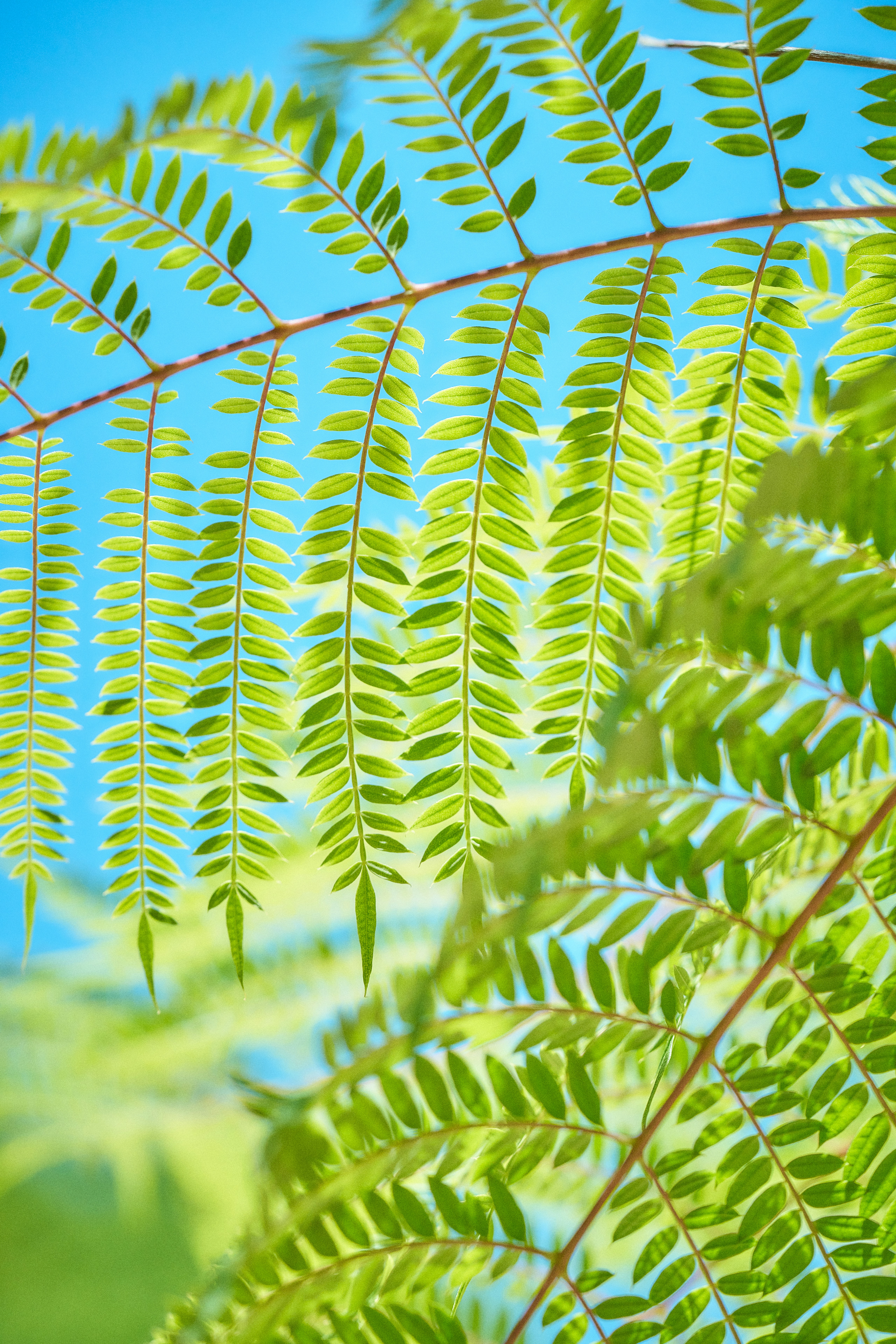 how-year-round-tax-planning-can-save-you-thousands